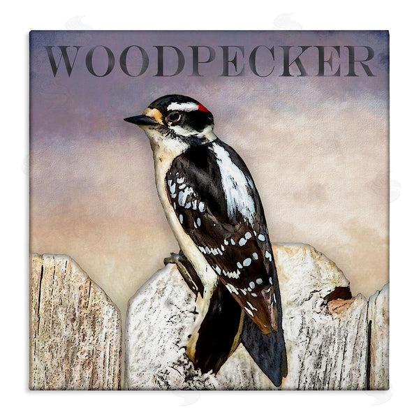 stupell industries Alpenglow Workshop | Woodpecker Bird Perched on Fence Breed Typography Design Wall Art