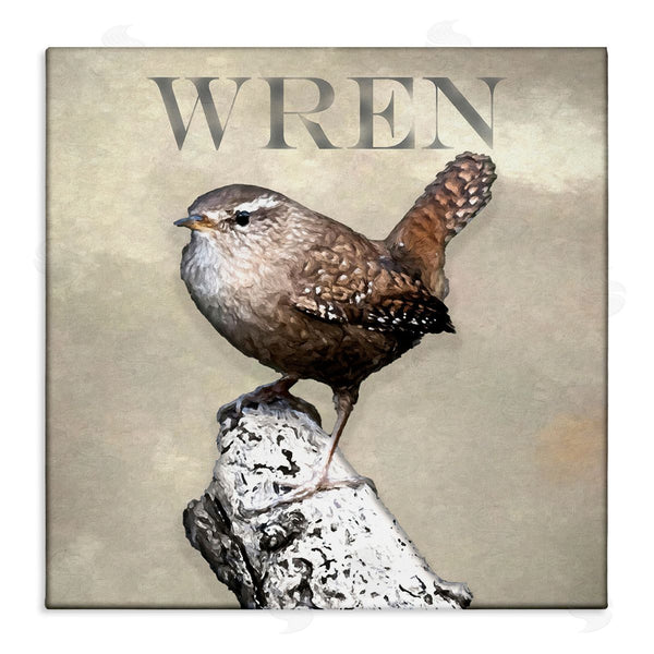stupell industries Alpenglow Workshop | Wren Bird Standing Casual Nature Breed Typography Wall Art