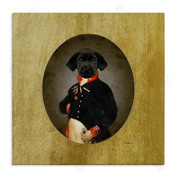 stupell industries Amanda Greenwood | Funny Black Dog Wearing Suit Vintage Admiral Portrait Wall Art