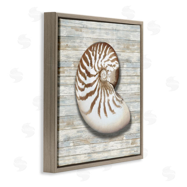 Stupell Industries Amber Sterling | Cowrie Shell On Shiplap