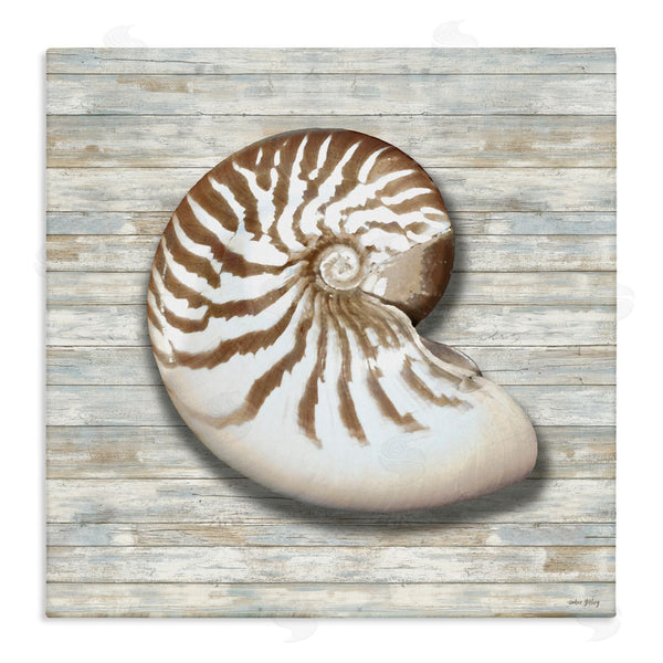 stupell industries Amber Sterling | Cowrie Shell on Shiplap