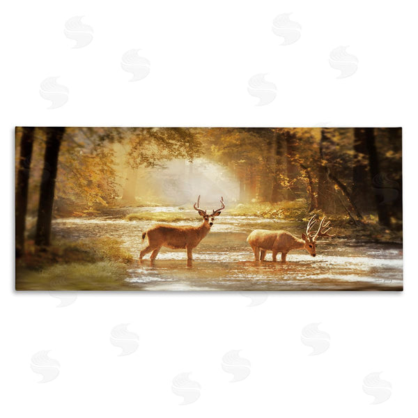 stupell industries Amber Sterling | Deer in Sunlit Grove Wall Art