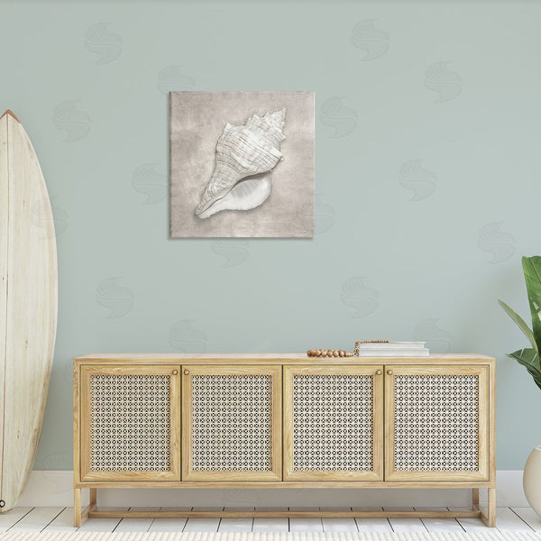 Stupell Industries Amber Sterling | Rustic Grey Conch Shell Wall Art