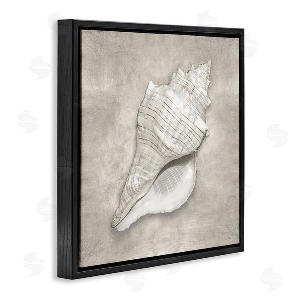 Stupell Industries Amber Sterling | Rustic Grey Conch Shell Wall Art