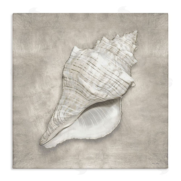 stupell industries Amber Sterling | Rustic Grey Conch Shell Wall Art