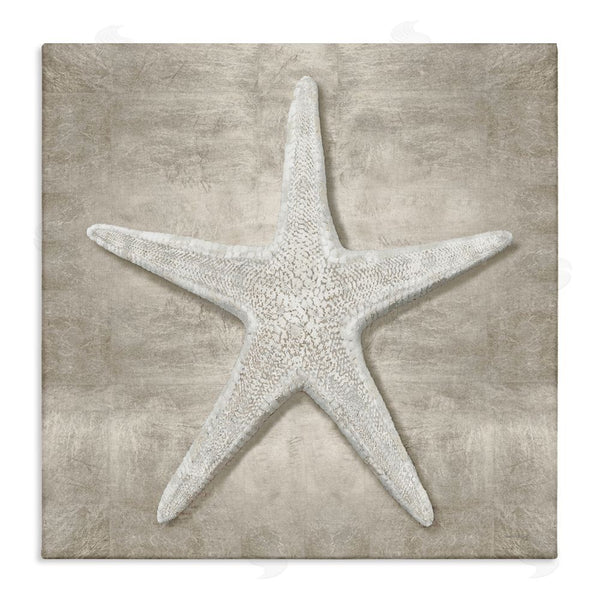 stupell industries Amber Sterling | Rustic Grey Starfish Wall Art