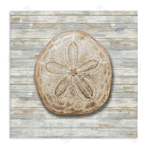 stupell industries Amber Sterling | Sand Dollar On Shiplap