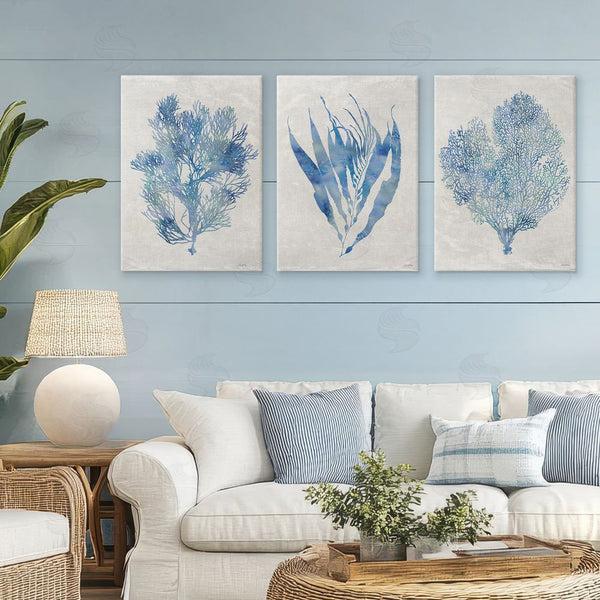 Stupell Industries Amber Sterling | Silhouette Seaweed Sprigs Wall Art