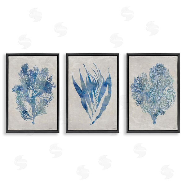 Stupell Industries Amber Sterling | Silhouette Seaweed Sprigs Wall Art