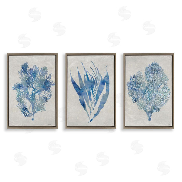 Stupell Industries Amber Sterling | Silhouette Seaweed Sprigs Wall Art