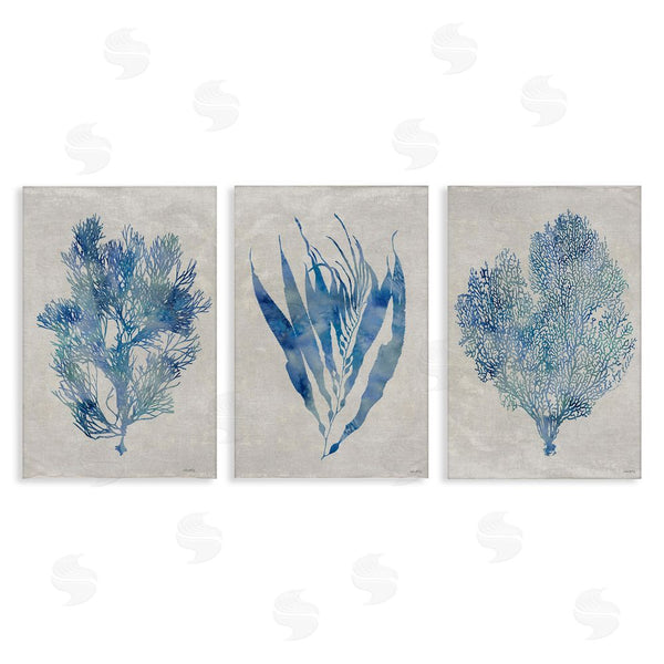 stupell industries Amber Sterling | Silhouette Seaweed Sprigs Wall Art