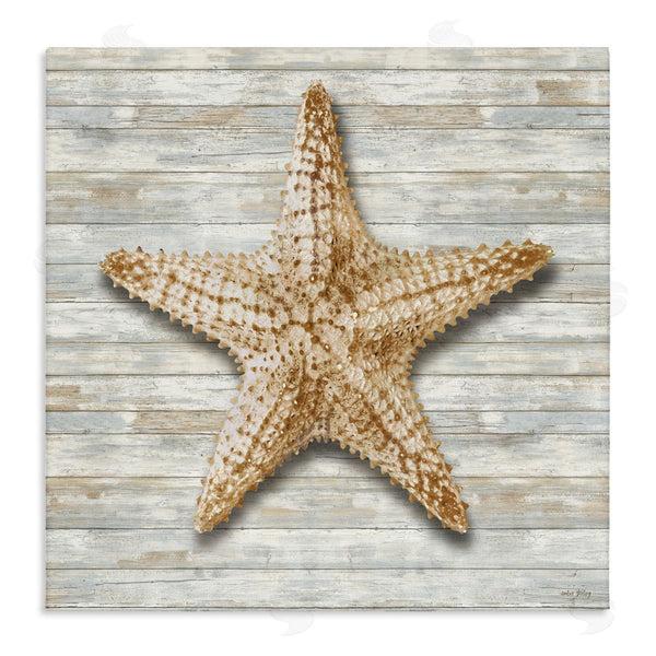 stupell industries Amber Sterling | Starfish On Shiplap