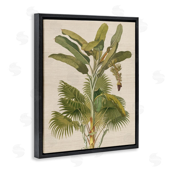 Stupell Industries Amber Sterling | Vintage Tropical Plant Wall Art