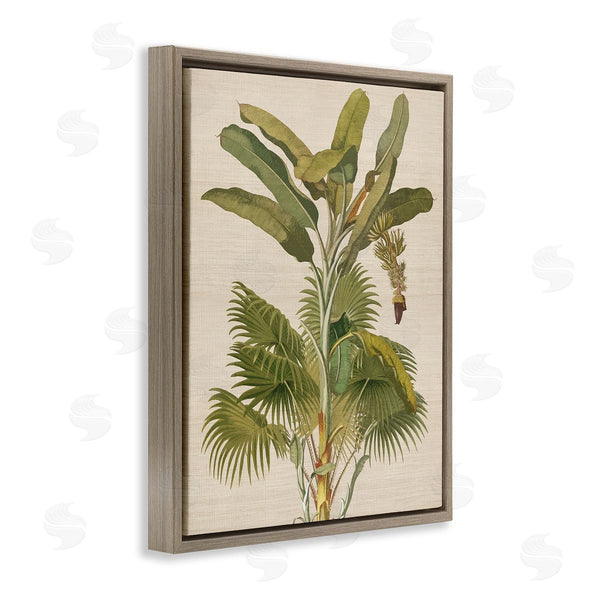 Stupell Industries Amber Sterling | Vintage Tropical Plant Wall Art
