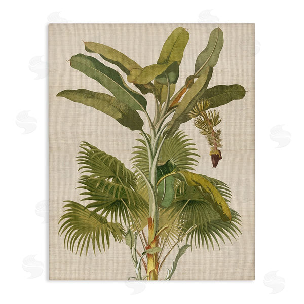 stupell industries Amber Sterling | Vintage Tropical Plant Wall Art