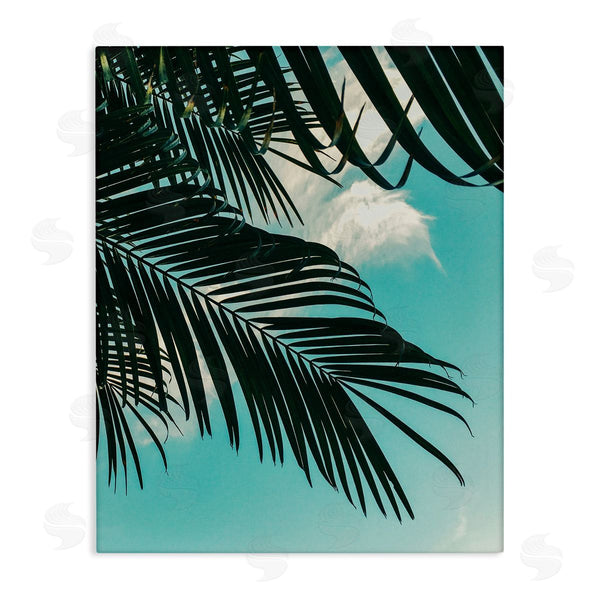 stupell industries Amy Brinkman | Bright Tropical Palm Tree Leaves Against Blue Sky Wall Art