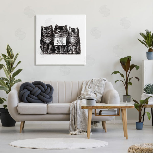 Stupell Industries Amy Brinkman | Normal Three Cats Ago Phrase Monochrome Sign Wall Art