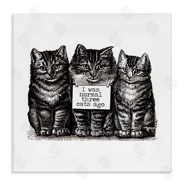 stupell industries Amy Brinkman | Normal Three Cats Ago Phrase Monochrome Sign Wall Art