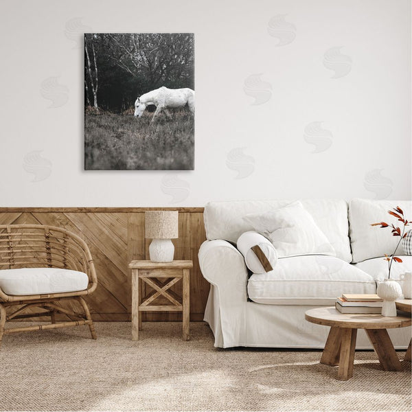 Stupell Industries Amy Brinkman | Rural Monochrome Meadow Trees White Horse Grazing Wall Art