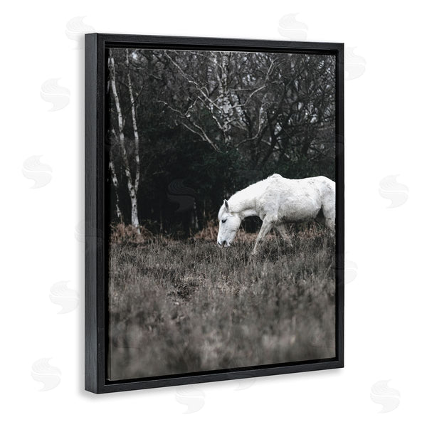 Stupell Industries Amy Brinkman | Rural Monochrome Meadow Trees White Horse Grazing Wall Art