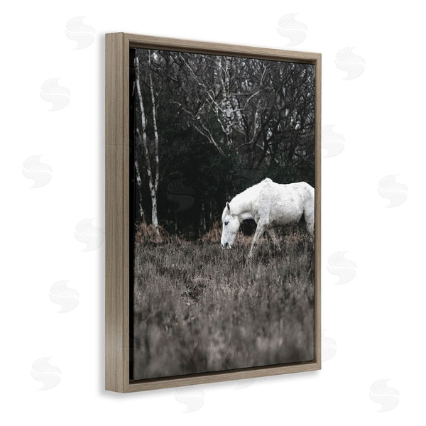Stupell Industries Amy Brinkman | Rural Monochrome Meadow Trees White Horse Grazing Wall Art