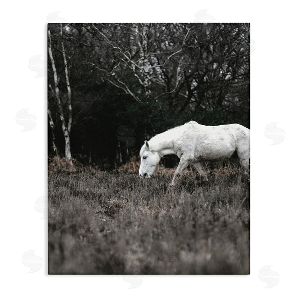 stupell industries Amy Brinkman | Rural Monochrome Meadow Trees White Horse Grazing Wall Art
