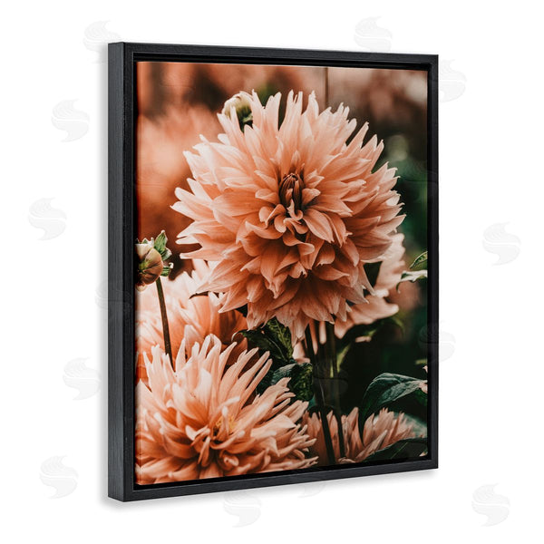 Stupell Industries Amy Brinkman | Wild Pink Dahlias Spring Flowers Closeup Photography Wall Art
