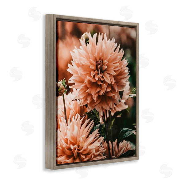 Stupell Industries Amy Brinkman | Wild Pink Dahlias Spring Flowers Closeup Photography Wall Art