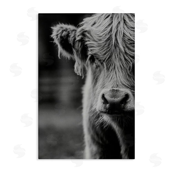 stupell industries Amy Carroll | Baby Cow Face Wall Art