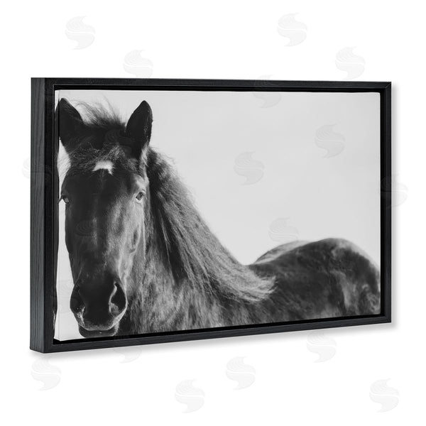 Stupell Industries Amy Carroll | Black Horse In Winter