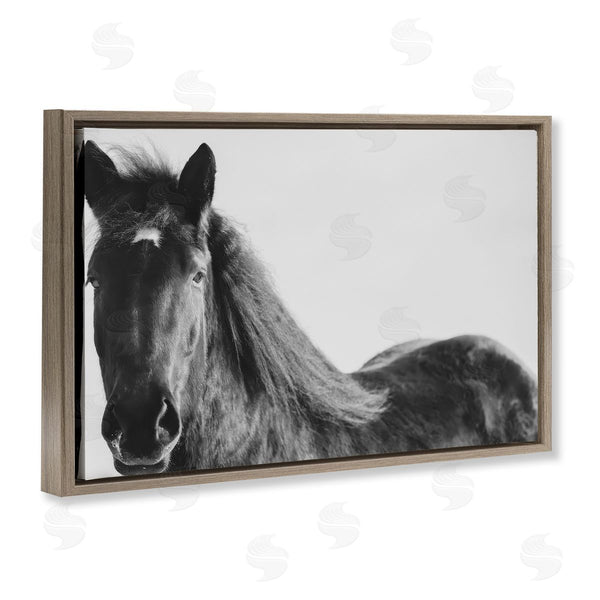 Stupell Industries Amy Carroll | Black Horse In Winter