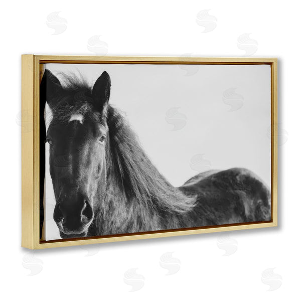 Stupell Industries Amy Carroll | Black Horse In Winter