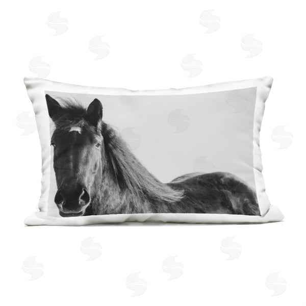 Stupell Industries Amy Carroll | Black Horse In Winter Printed Throw Pillow