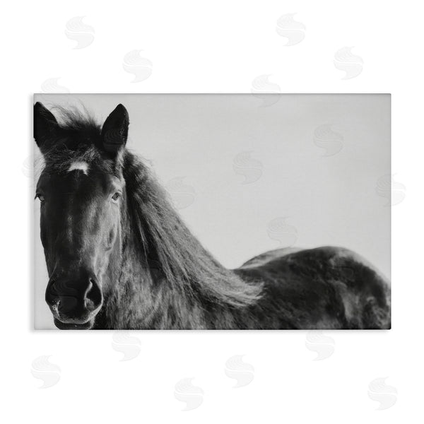 stupell industries Amy Carroll | Black Horse in Winter