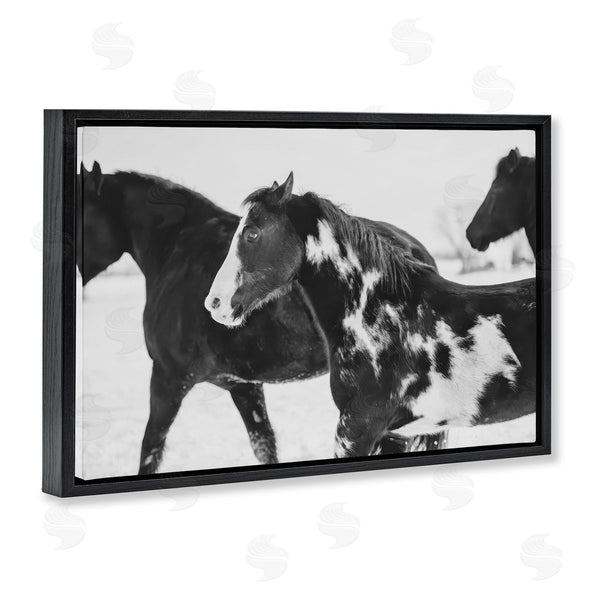 Stupell Industries Amy Carroll | Black & White Winter Horses