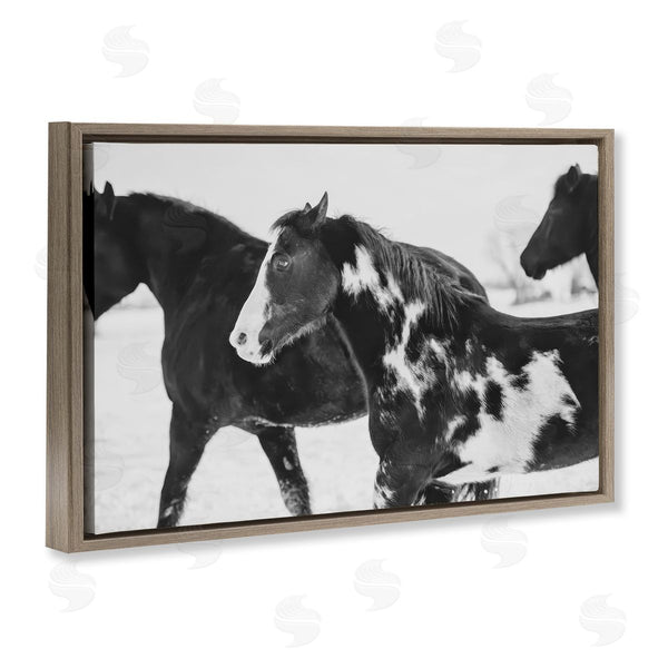 Stupell Industries Amy Carroll | Black & White Winter Horses