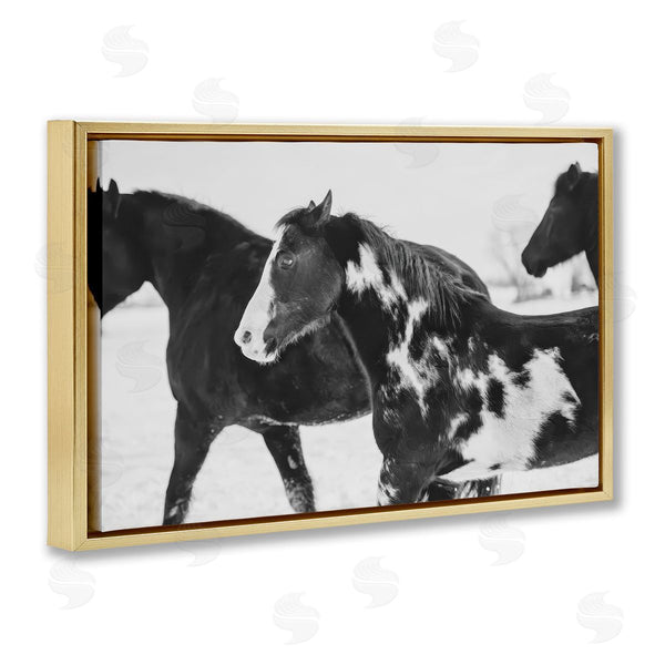 Stupell Industries Amy Carroll | Black & White Winter Horses