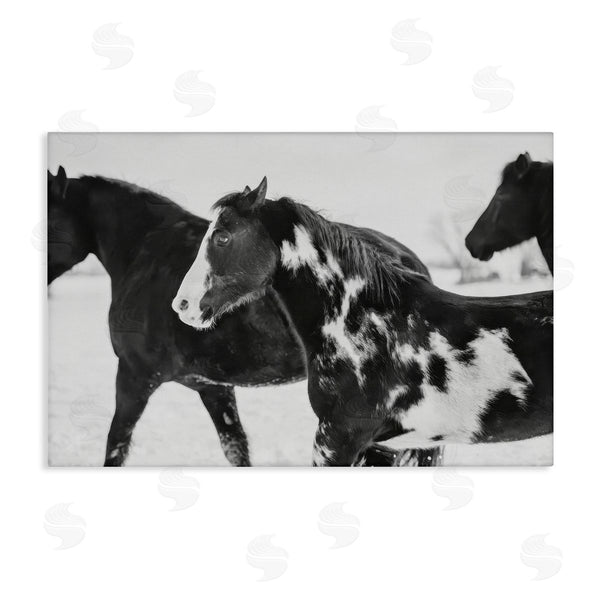 stupell industries Amy Carroll | Black & White Winter Horses