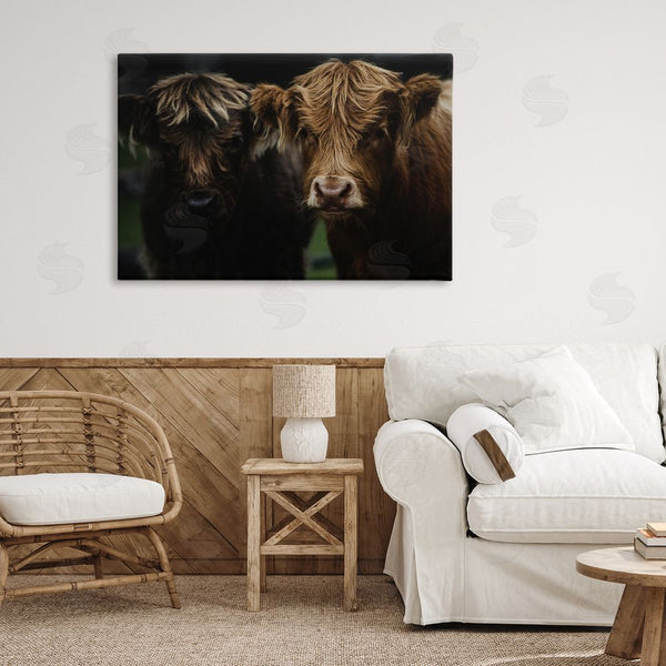 Stupell Industries Amy Carroll | Cow Faces Highland Pair Wall Art