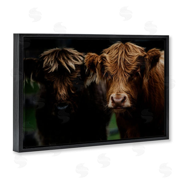Stupell Industries Amy Carroll | Cow Faces Highland Pair Wall Art