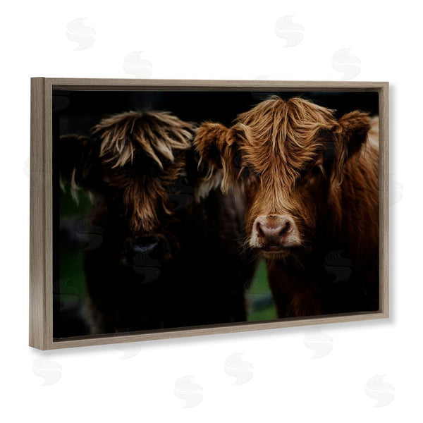 Stupell Industries Amy Carroll | Cow Faces Highland Pair Wall Art