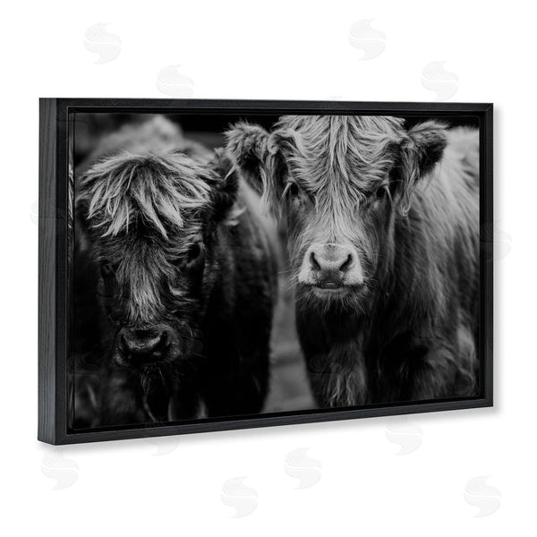 Stupell Industries Amy Carroll | Cow Faces On Farm Wall Art