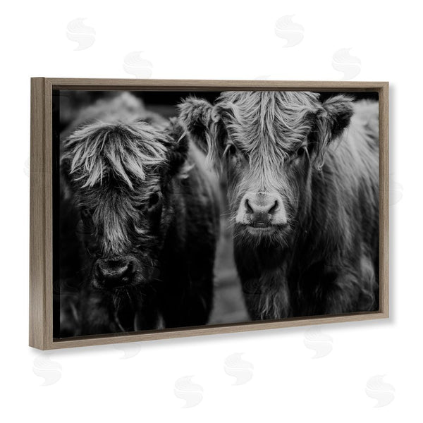 Stupell Industries Amy Carroll | Cow Faces On Farm Wall Art