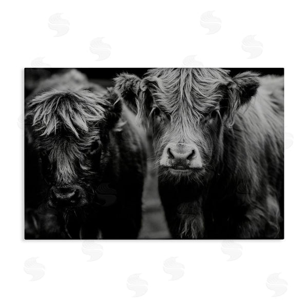 stupell industries Amy Carroll | Cow Faces on Farm Wall Art
