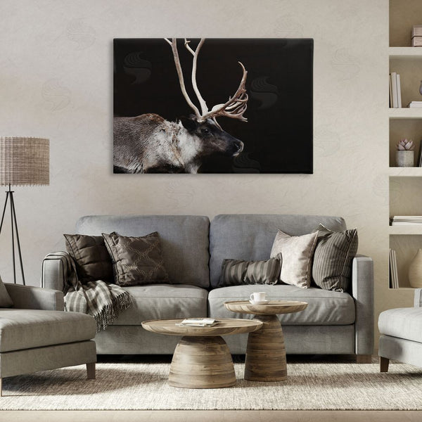 Stupell Industries Amy Carroll | Dark Reindeer At Night Wall Art