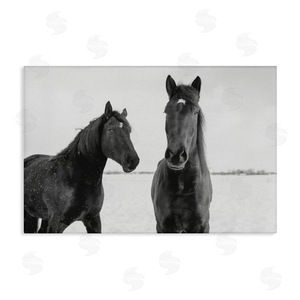 stupell industries Amy Carroll | Draisma Hirdes Winter Horses