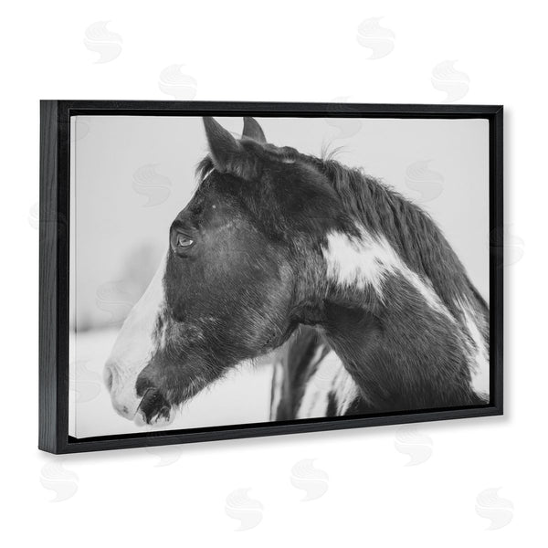 Stupell Industries Amy Carroll | Draisma Horse Looking Left