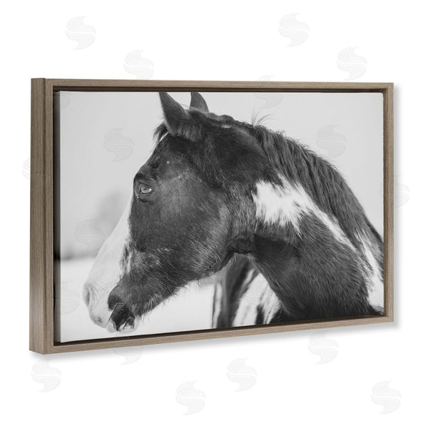 Stupell Industries Amy Carroll | Draisma Horse Looking Left