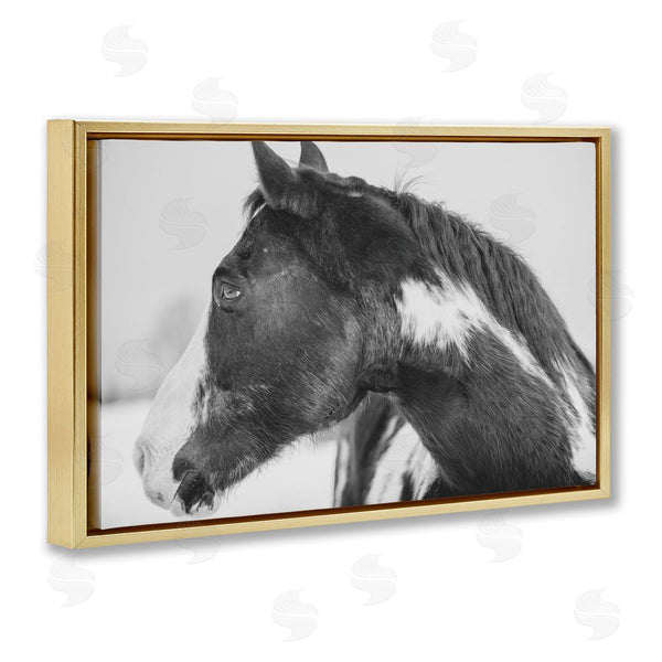 Stupell Industries Amy Carroll | Draisma Horse Looking Left