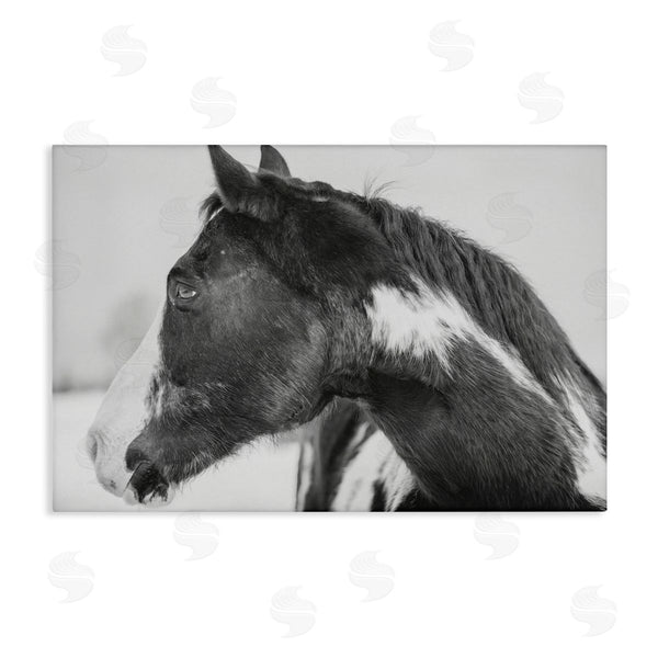 stupell industries Amy Carroll | Draisma Horse Looking Left